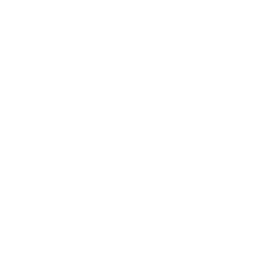 feature-item-1